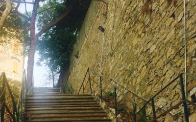 Aprono gli ingressi laterali e la scalinata storica 🗓