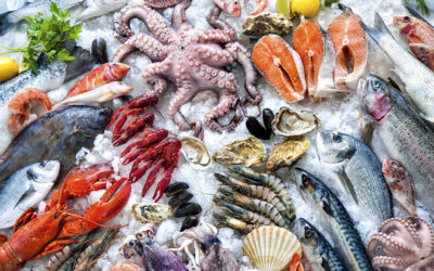 Scopri Sâ de Mâ, il regno del pesce in Arena Albaro Village